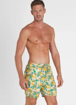 Aqua Blu Bottoms|Bottoms^Dahlia Taylor Shorts