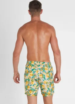 Aqua Blu Bottoms|Bottoms^Dahlia Taylor Shorts