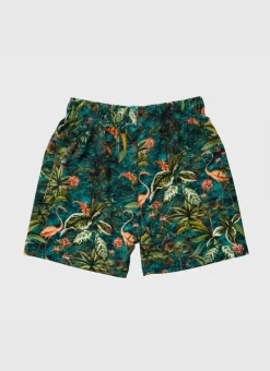 Aqua Blu Shop Infants (00-2)|Boardshorts^Lycra Boardshorts Ladybird