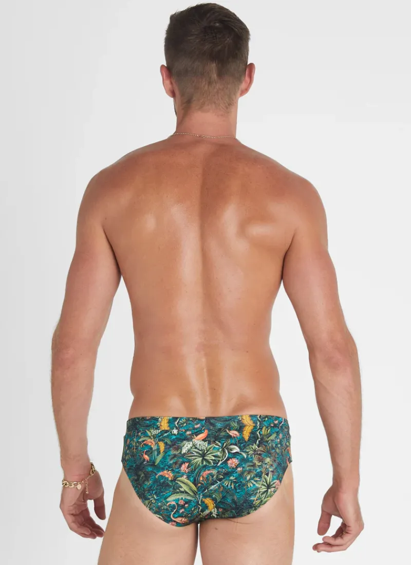 Aqua Blu Racer Briefs^Racer Briefs Ladybird