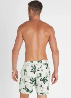 Aqua Blu Bottoms|Bottoms^Lily Taylor Shorts