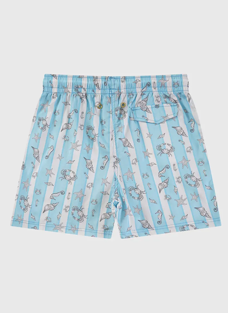 Aqua Blu Shop Teens (8-16)|Bottoms^Boardshorts Mariner