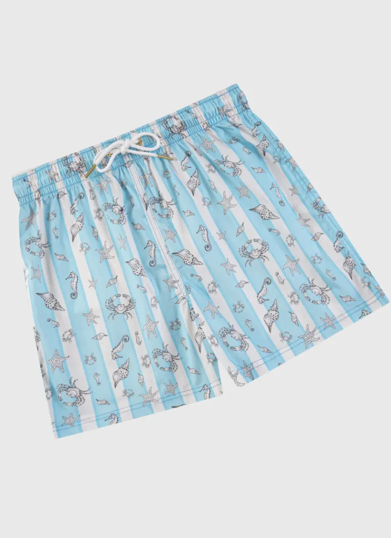 Aqua Blu Shop Teens (8-16)|Bottoms^Boardshorts Mariner