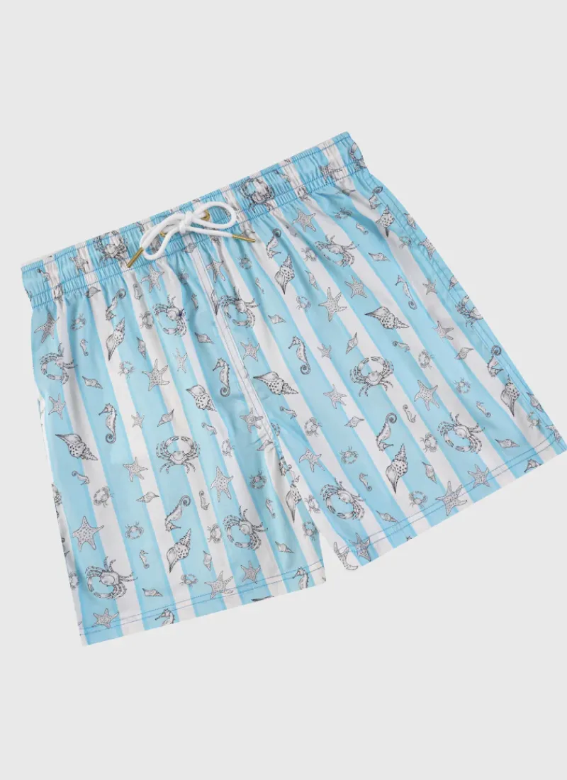 Aqua Blu Boardshorts|Bottoms^Boardshorts Mariner